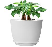 UOUZ Grand Pot de Fleurs Moderne en Plastique avec Trous Hauts et Soucoupe pour Plantes et Fleurs d'intérieur et d'extérieur Blanc 30,5 cm