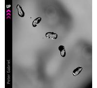 Gabriel, Peter – Up