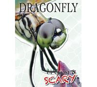 Up Close & Scary Dragonfly