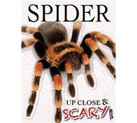 Up Close Scary Spider Louise & Richard Spilsbury, (Auteur)