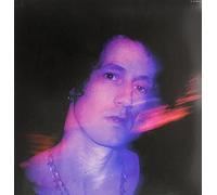 Up In Flames [12 Inch Analog]