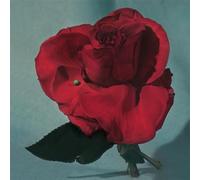 Up On Gravity Hill Loser Edition Vinyle Jaune