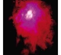Porcupine Tree – Up the Downstair – Vinyle – Edel