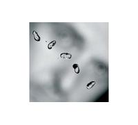Peter Gabriel – Up – Vinyle 2×12" Import – Realworld