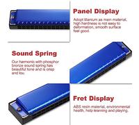 UPALDHOU Harmonica Professionnel, Organe Buccale Diatonique à 24 Trous, pour étudiant en Musique, Débutant, clé de C, Polyphonie (BLUE)