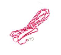 UPALDHOU Harnais pour Petit Animal de Compagnie, Cochon d'Inde, Hamster, Collier Réglable, Laisse Tressée en Nylon, Conception de Cloche pour des Promenades Amusantes en Plein Air, pour Les (Rose +