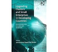 Upgrading Clusters and Small Enterprises in Developing Countries, Ashgate Economic Geography Series