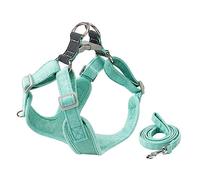 UPKOCH 1 Ensemble Laisse pour Animaux de Compagnie Harnais pour Chien la Laisse du Chien Preuve Harnais pour Chiot Pratique Petit Harnais pour Chiot Suède Green