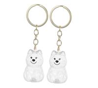 UPKOCH 2 Pièces Boîte de Souvenir pour Poils Animal et Transparent Porte-clés pour Chiens Coffret Mémoire Pratique et Sécurisé pour Propriétaires Animaux