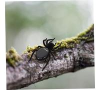 UPKOCH 2 pièces Solaire Éducatif Araignée et Cafard pour Garçons et Filles Simulation Réaliste Vibrante Exploration Insectes Extérieur Accessoire Prank Halloween et Poisson Avril