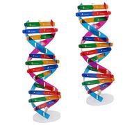 UPKOCH 2pièces Kit De Modèles Adn à Double Hélice Éducatifs pour Garçon Et Filles Jouet Scientifique pour Apprentissage des Gènes