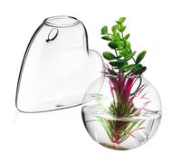 UPKOCH 2pièces Stations De Multiplication Verre pour Plantes Intérieur Jardinières Murales Suspendues Pots pour Terrarium Et Décoration Murale