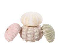 UPKOCH 4 pièces Support pour Tillandsia Naturel Lot de Cache Pot Décoratif Unique pour Plantes Aériennes Accessoire Naturel pour Maison Bureau et Boutique