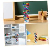 UPKOCH 4pièces Modèle Scientifique à Double Hélice Outil Apprentissage Et pour Écoliers Représentation Authentique Et Détaillée