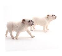 UPKOCH Figurine Chien Bulldog Marche Modèle PVC Simulation Décoration Bureau Maison Ornement Réaliste Statuette Animal Solide