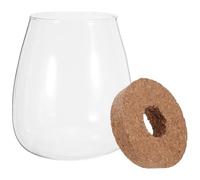 UPKOCH Lot de 2 Vases Hydroponiques en Verre Grand Format avec Bouchon en Liège Percé et Plateau en Bambou, Vase de Propagation pour Plantes D’intérieur, Culture Racinaire en Eau,