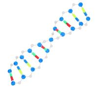 UPKOCH Modèle D'adn en Double Hélice Kit Éducatif Scientifique pour Salle de Classe et Laboratoire, Structure Moléculaire Précise en Plastique Solide, Outil Pédagogique en Génétique