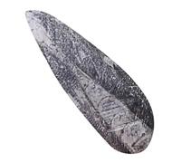 UPKOCH Orthoceras Fossile Décoratif Grand Format Naturel Unique pour Enseignement Paléontologique et Collection Scientifique