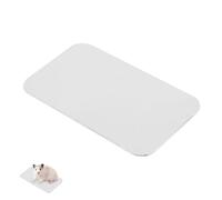 UPKOCH Plaque De Refroidissement Métallique pour Petit Animal 12x8 Cm Assiette Froide Réfrigérante pour Hamster Et Lapin Rafraîchissant D'été pour Rongeurs Et Cochons d'Inde
