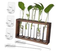 UPKOCH Support Mural pour Propagation des Plantes avec Tubes Verre et Étagère Bois pour Plantes Aquatiques Bureau