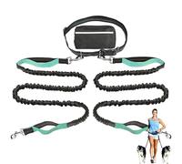 Upliftjoys Hands-Free Dog Leash with Zipper Pouch - Adjustable Bungee Waist Leash for Running & Walking, Dual Padded Handles, Reflective Design - Fits Small to Large Dogs (Mint Green,Double Leash)
