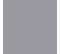 UPOL RAPTOR Pick Up Revêtement pour voiture 1 L + 100 ml RAL 7004 Gris signal vernis acrylique pour la décoloration