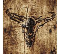 Upon A Burning Body - Southern Hostility [Vinyl LP]