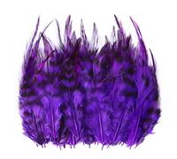 Uposao 100pcs Naturelles Plumes De Coq 8-13cm Artisanat Plumes Décoration Coq Plume Plumes De Poulet Plumes De Faisan pour Artisanat, Bricolage, Décoration, Costume, Prop Décoration