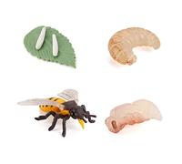 Uposao Modèle Insecte Jouet Simulation Collection De Jouets Modèle D'aide Pédagogique sur Le Cycle De Croissance des Insectes Ornements Enfants Jouets éducatifs Accessoires De Photographie