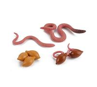 Uposao Modèle Insecte Jouet Simulation Collection De Jouets Modèle D'aide Pédagogique sur Le Cycle De Croissance des Insectes Ornements Enfants Jouets éducatifs Accessoires De Photographie