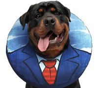 UPPYS Grand Collier en Forme de Beignet pour Chien - Cône Gonflable pour Chien - Alternative pour la récupération après Chirurgie - Cônes en Forme de Donut pour Chiens de Grande Taille - Colliers