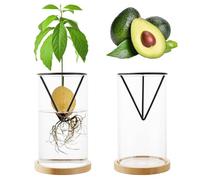 Uprony Kit de Culture d'avocatier 2 pièces Vase de Culture d'avocat Base en Bois Pot de Fleurs en Verre d'avocat pour Les Amateurs de Jardinage