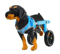 UPWONEC Fauteuil Roulant pour Chien, Véhicule D'assistance pour Animaux De Compagnie, Déambulateur pour Paralysie des Membres Postérieurs, Support des Pattes Postérieures sur Deux Roues,L