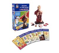 Upyaa Silverlit - Hello Maestro - Il était une fois... - Découvrez le corps humain avec Hello Maître - Jeu éducatif - A partir de 8 ans