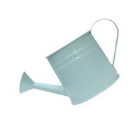 Uqezagpa Arrosoir décoratif en fer pour plantes - Pots de fleurs robustes pour balcon et terrasse - Petit arrosoir