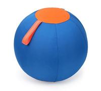 Uqezagpa Balle gonflable d'extérieur pour chiens - Jouet interactif pour chiens de petite taille - Entraînement de troupeau - Mâcher agressif - Grand jouet à mâcher agressif