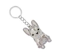 Uqezagpa Boîte à porte-clés transparente pour animaux de compagnie - Boîte de rangement miniature pour les propriétaires de chiens - Design étanche - Cadeau de voyage sentimental - Boîte de rangement