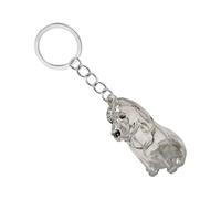 Uqezagpa Boîte à porte-clés transparente pour animaux de compagnie - Boîte de rangement miniature pour les propriétaires de chiens - Design étanche - Cadeau de voyage sentimental - Boîte de rangement