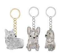 Uqezagpa Boîte à porte-clés transparente pour animaux de compagnie - Boîte de rangement miniature pour les propriétaires de chiens - Design étanche - Cadeau de voyage sentimental - Boîte de rangement