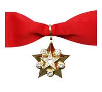 Uqezagpa Broche de récompense des forces en alliage - Design précis - 4 cm - Breloque rétro pour présentation de cadeaux - Décoration à suspendre au cou