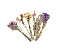 Uqezagpa Cage naturelle pour hamster - Fleurs colorées - Literie et décoration décorative pour hamster - Bouquets de fleurs séchées