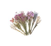 Uqezagpa Cage naturelle pour hamster - Fleurs colorées - Literie et décoration décorative pour hamster - Bouquets de fleurs séchées