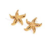 Uqezagpa Collier et boucles d'oreilles en coquillage d'ormeau naturel avec breloque étoile de mer, chaîne en acier inoxydable, bijoux marins, cadeau de plage, bijoux de vacances, One Size, Comme