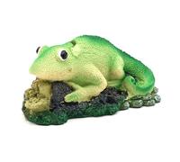 Uqezagpa Exquisites Reptiles Aquariums Grand aquarium Décoration pour la maison, le bureau, l'hôtel
