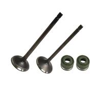 Uqezagpa Guide de tige de soupapes d'échappement pour moteur de moto CG250 250CC - Joint d'huile de rechange facile à installer