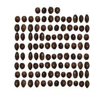 Uqezagpa Lot de 100 écrous multi-usages pour bijoux et ornements uniques faits à la main - Accessoires élégants pour couronne - Décoration de festival - Arrangements floraux, taille unique, Comme