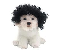 Uqezagpa Perruque tendance et amusante pour animal domestique avec sangle élastique réglable pour chat, Halloween, Noël, festival, canvial