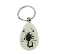 Uqezagpa Porte-clés accessoires, porte-clés insecte en résine lumineuse, scorpion, spécimen d'insecte, pendentif touristique, souvenir touristique, porte-clés ambre, bijoux tendance, Scorpion noir 1