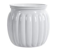 Uqezagpa Pots d'échantillons vides en forme de citrouille - Pot de fleurs de stockage vide épais - Niveaux d'eau visibles - Pots de fleurs en forme de citrouille