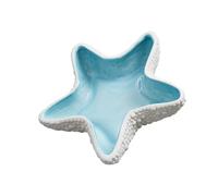 Uqezagpa Rangement de bijoux en faïence Motif échinoderme côtier Plan dense Cadeau prêt à l'emploi Plage Maison Deck Permanent Faïence Bijoux Propriétaire